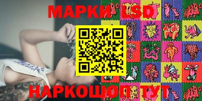 шишки Обь