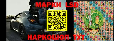 шишки Обь