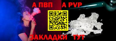 шишки Обь