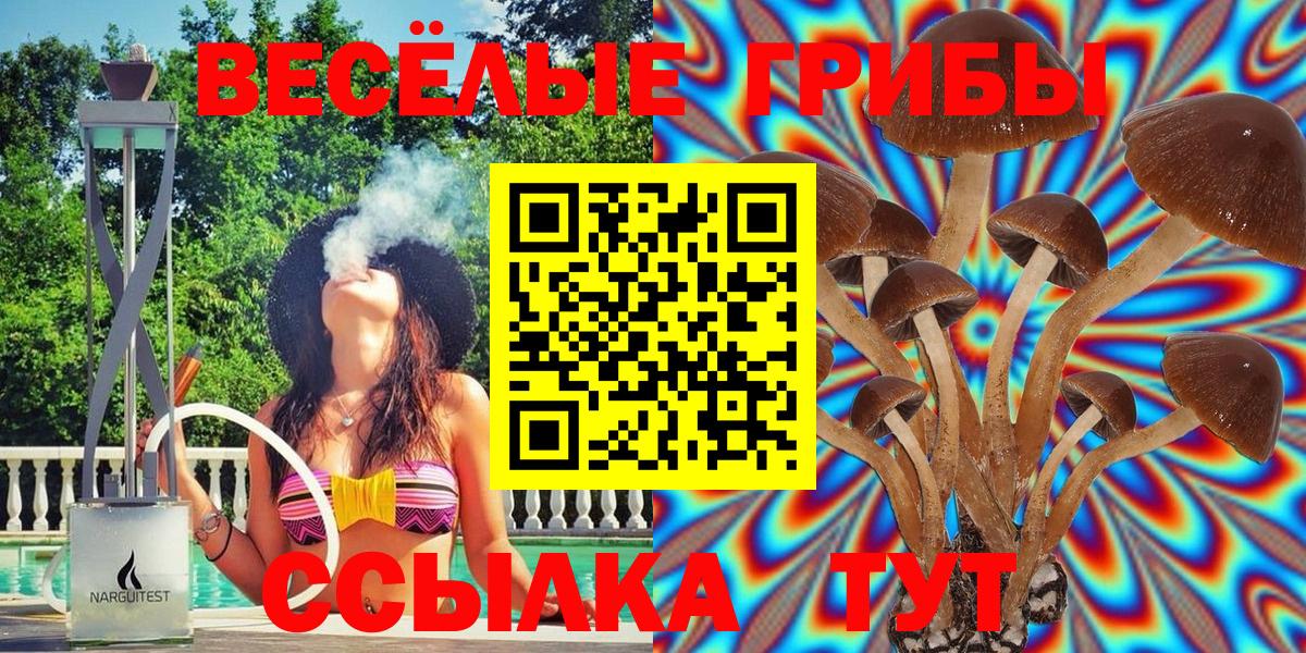 Псилоцибиновые грибы Psilocybine cubensis  Вход с VPN  Галлюциногенные грибы Cubensis  Сокол 